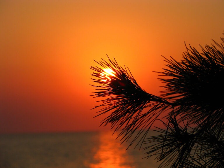 What is a Marchman Act? Marchman Act Florida